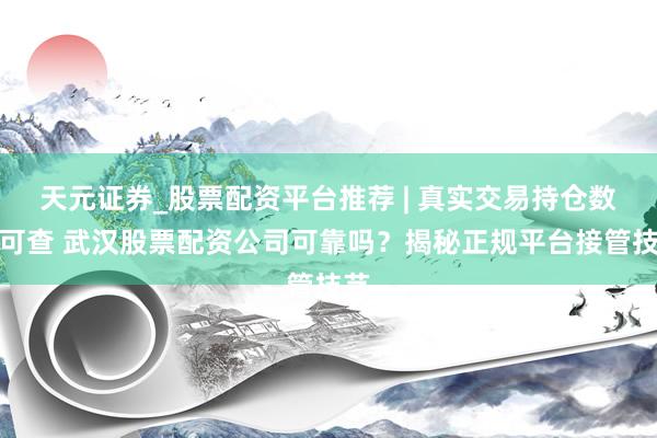 天元证券_股票配资平台推荐 | 真实交易持仓数据可查 武汉股票配资公司可靠吗？揭秘正规平台接管技艺