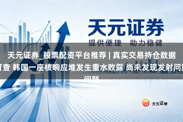 天元证券_股票配资平台推荐 | 真实交易持仓数据可查 韩国一座核响应堆发生重水败露 尚未发现发射问题