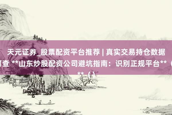 天元证券_股票配资平台推荐 | 真实交易持仓数据可查 **山东炒股配资公司避坑指南：识别正规平台**（）